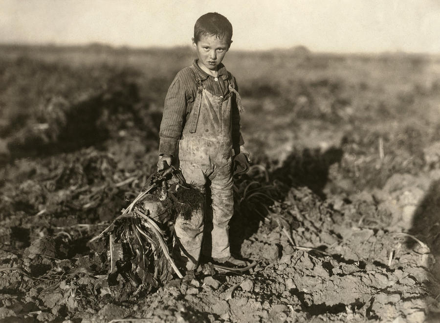 Sugar Beet Worker, 1915 Photograph by Lewis Hine