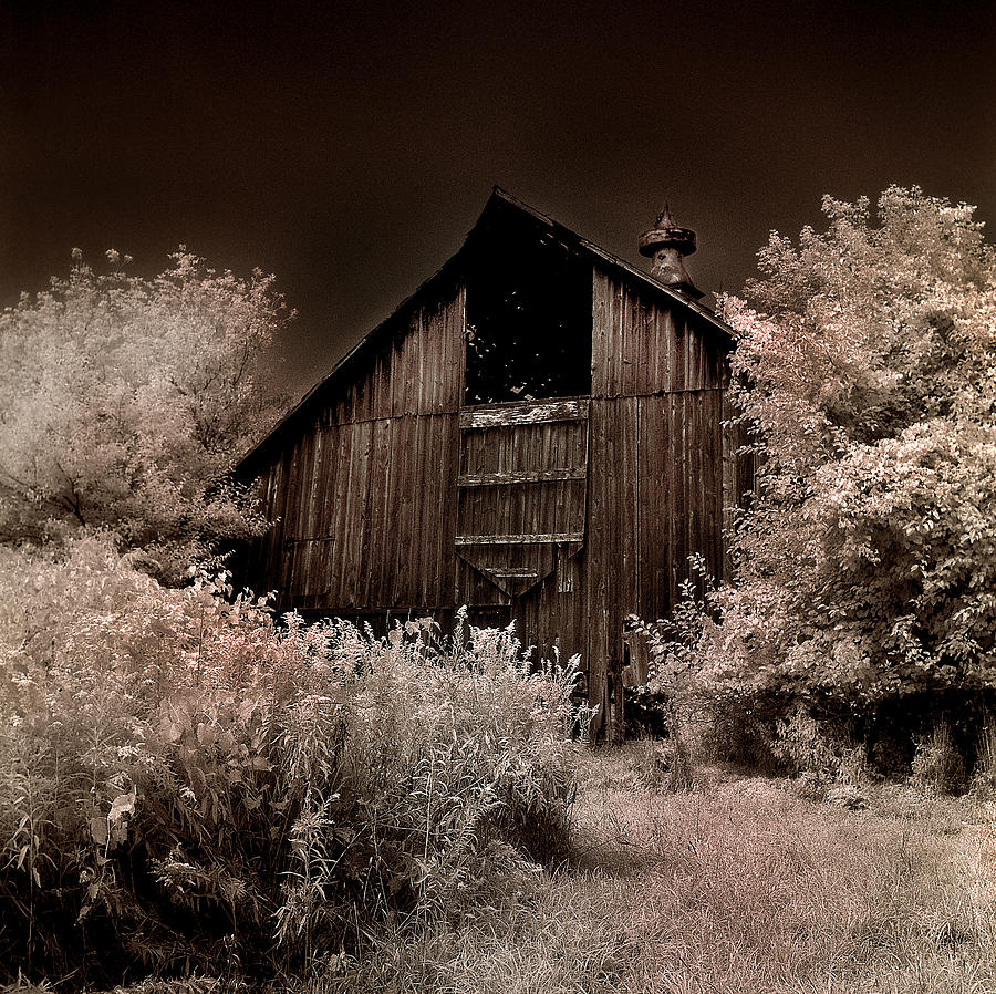 Sugar Bottom Barn #1 Photograph by Jamieson Brown
