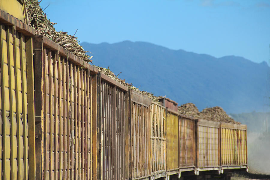 Sugar Cane Train Photograph by Debbie Cundy