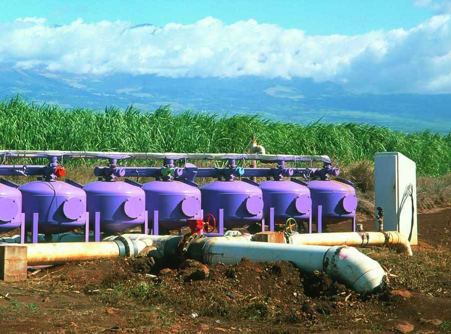 Pipe Photograph - Sugar Cane Water Distribution System by Simon Fraser/science Photo Library
