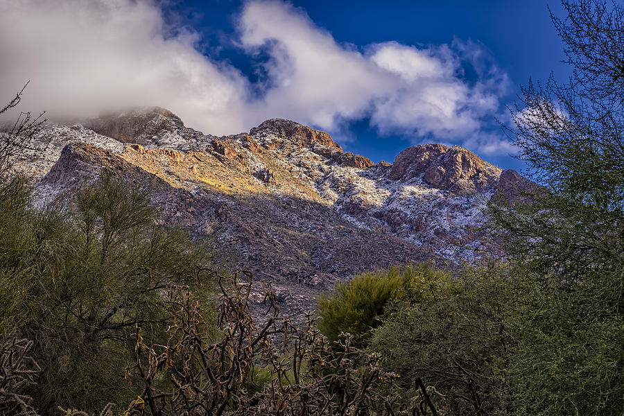 Mountain Photograph - Sugar Coated by Mark Myhaver