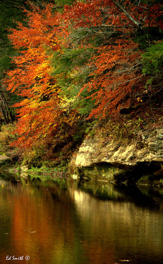 Foliage Photograph - Sugar Creek by Edward Smith