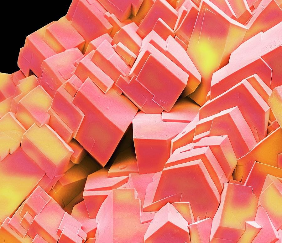 Sugar Crystals Photograph by Steve Gschmeissner/science Photo Library