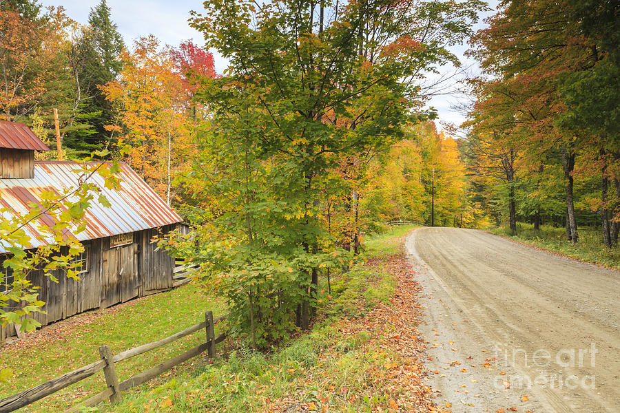 Sugar shack and gravel road in rural Vermont Autumn Photograph by Ken Brown