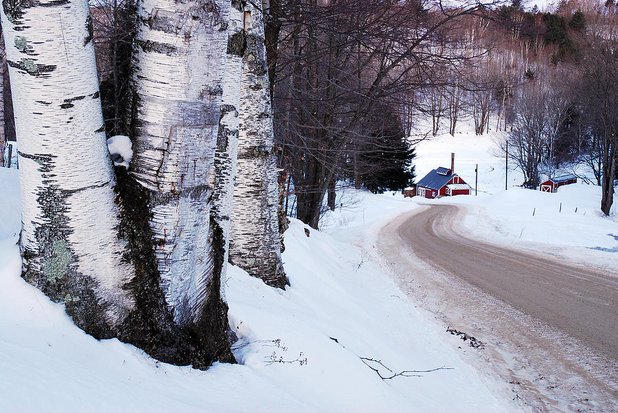 Sugar Shack in Winter Photograph by James Kirkikis