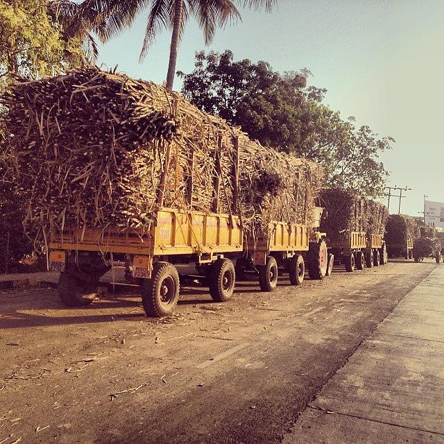 Truck Photograph - Sugarcane Laden Tractors by Ankit Jain