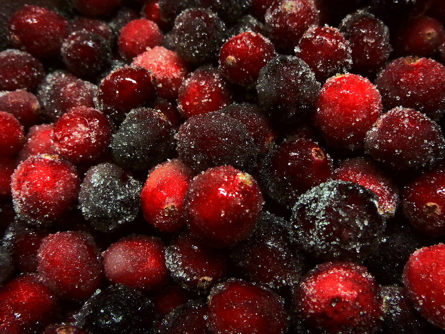 Sugared Cranberries Photograph by Joseph Skompski