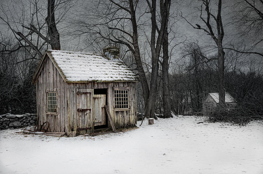 Winter Photograph - Sugared Shack by Robin-Lee Vieira