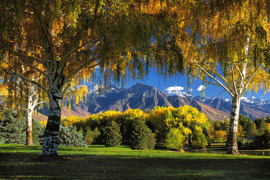 Nature Photograph - Sugarhouse Park Salt Lake City UT by Douglas Pulsipher