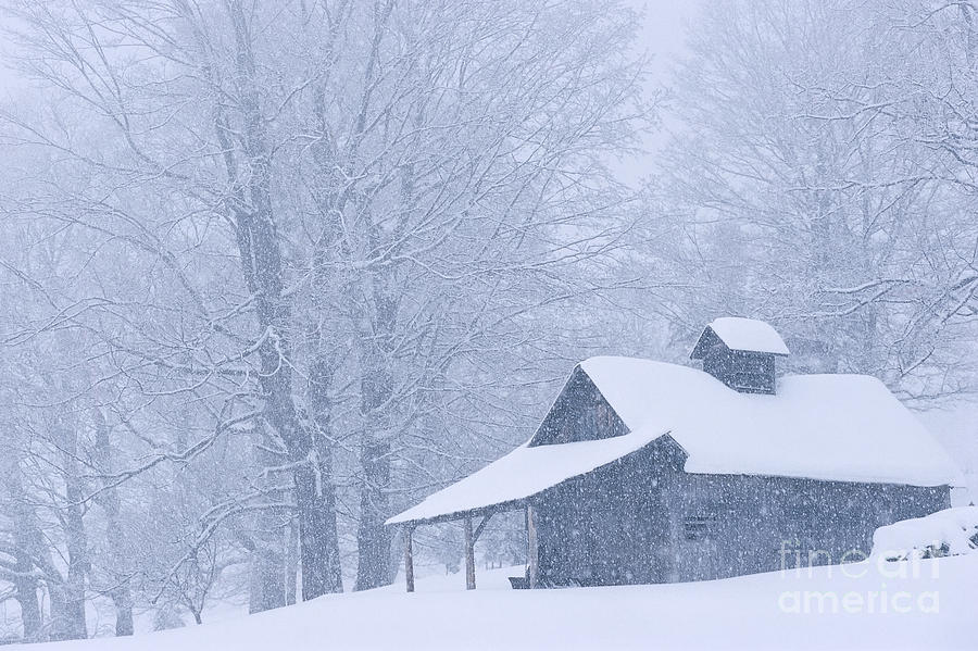 Sugarhouse Snowfall Photograph by Alan L Graham