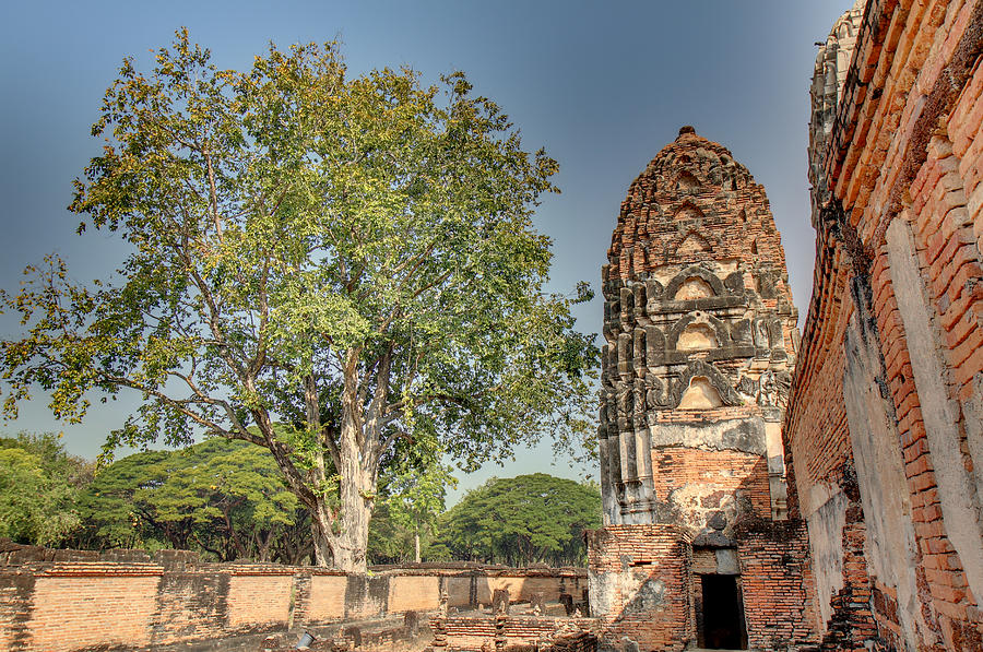 Sukhothai Historical Park - Sukhothai Thailand - 011362 Photograph by DC Photographer
