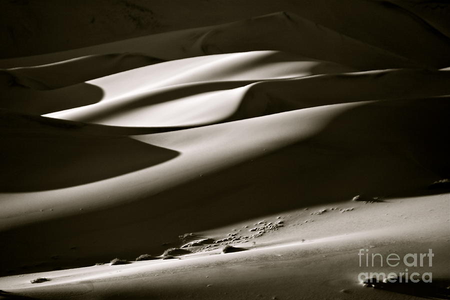 Sultry Dunes at Night Photograph by Michael Cinnamond