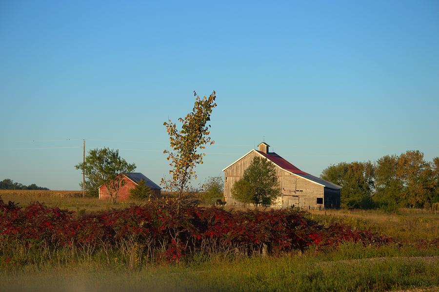 Sumac Barn Photograph By Bonfire Photography - Fine Art America