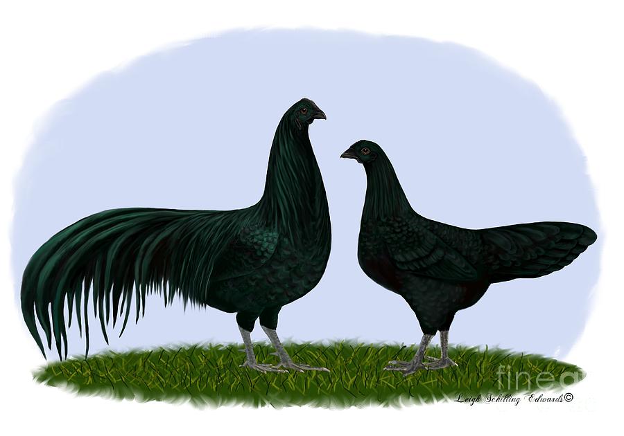 Rooster Digital Art - Sumatra Rooster and Hen by Leigh Schilling