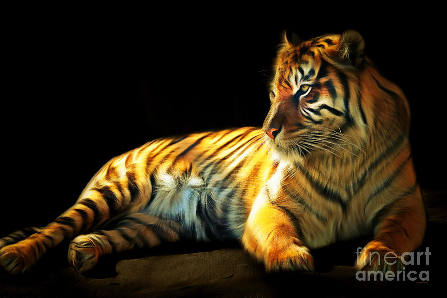 Cincinnati Bengals Photograph - Sumatran Tiger 20150210brun by Wingsdomain Art and Photography