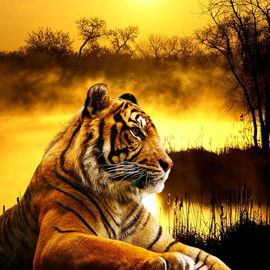 Sumatran Tiger And Sunset Digital Art by Erika Kaisersot