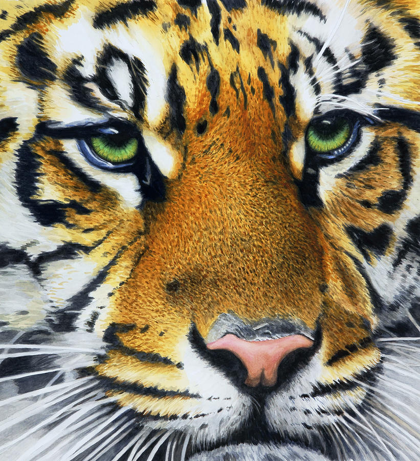Sumatran Tiger Painting by Donna Greenstein