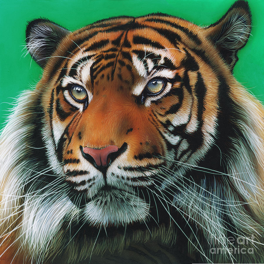 Sumatran Tiger Painting by Jurek Zamoyski