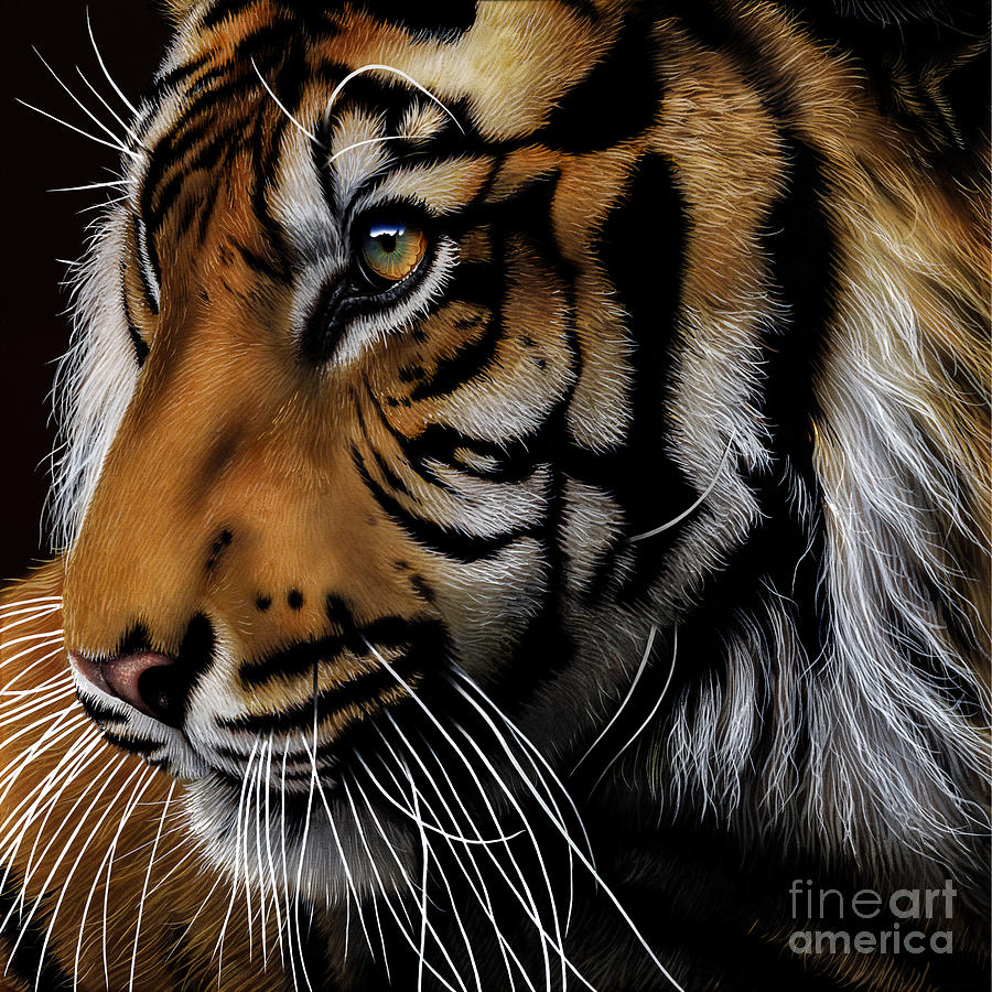 Sumatran Tiger Profile Painting by Jurek Zamoyski