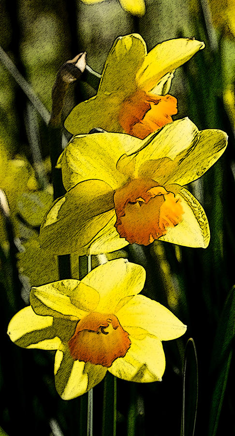 Sumi-e in yellow Digital Art by Elena Perelman