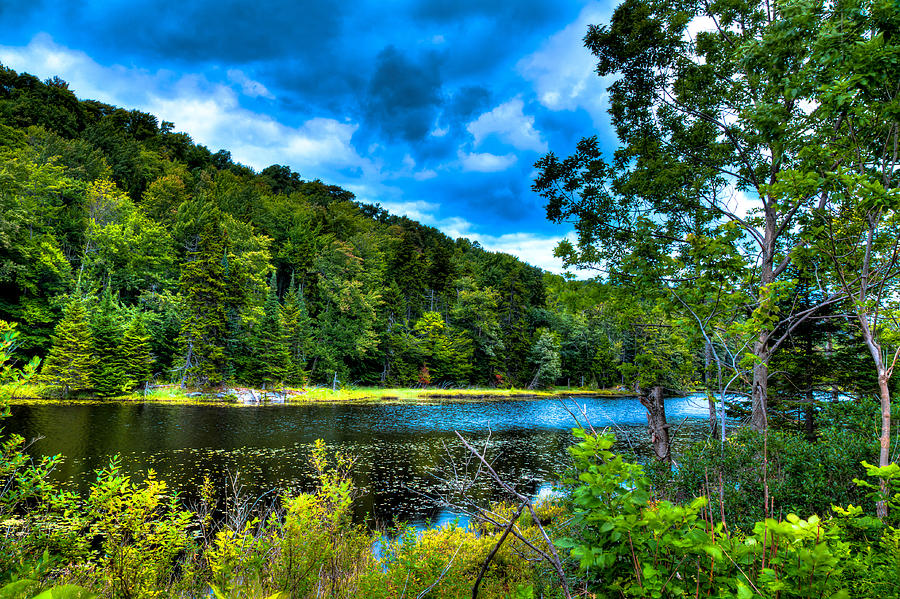 Summer at Bald Mountain Pond Photograph by David Patterson
