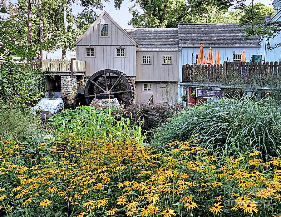 Summer at the Grist Mill Photograph by Janice Drew