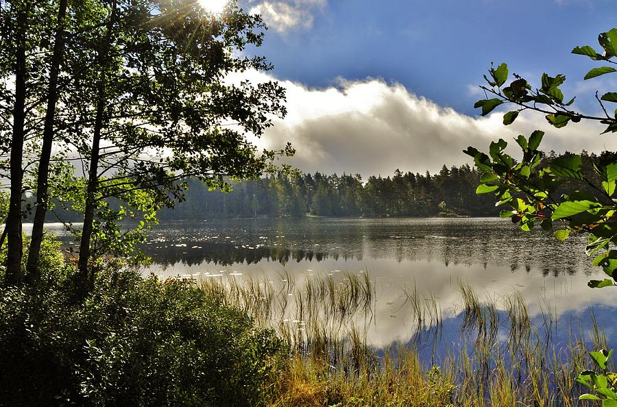 Summer At The Lake Photograph by Stefan Pettersson