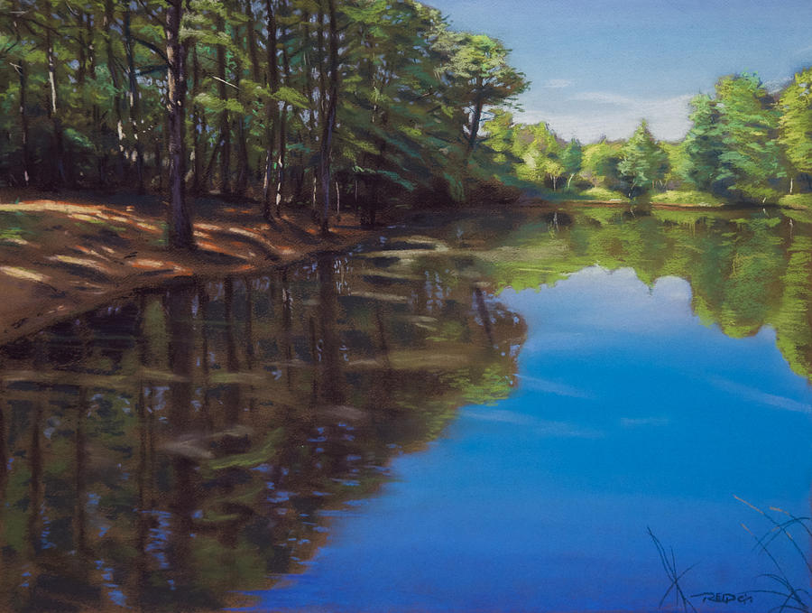 Summer At The Pond Pastel by Christopher Reid
