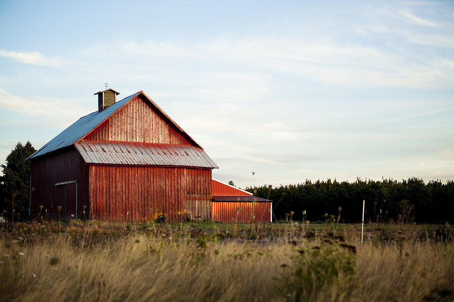 Summer Barn Photograph by Timnewman