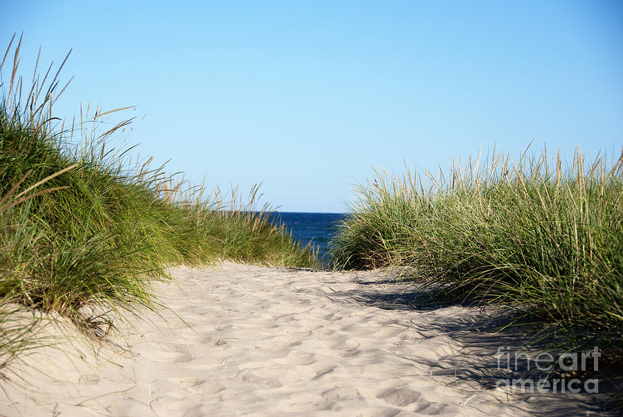 Beach Photograph - Summer Beach Days by Jackie Farnsworth
