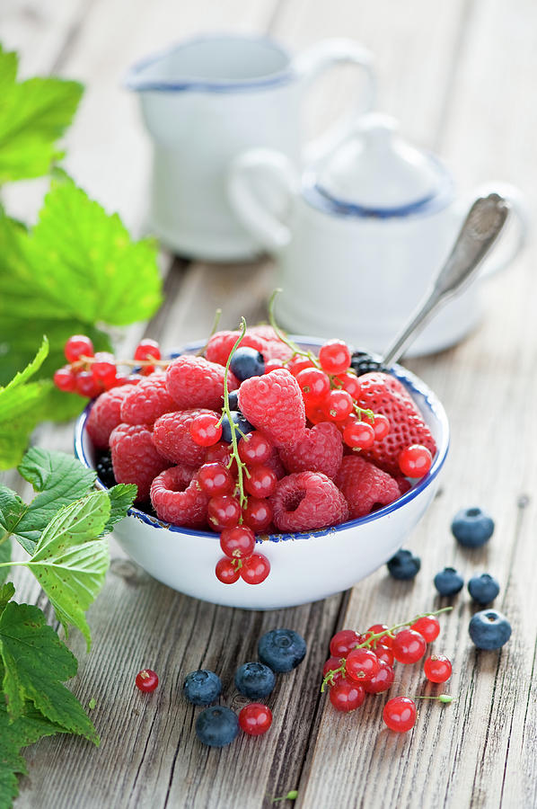 Summer Berries Photograph by Verdina Anna