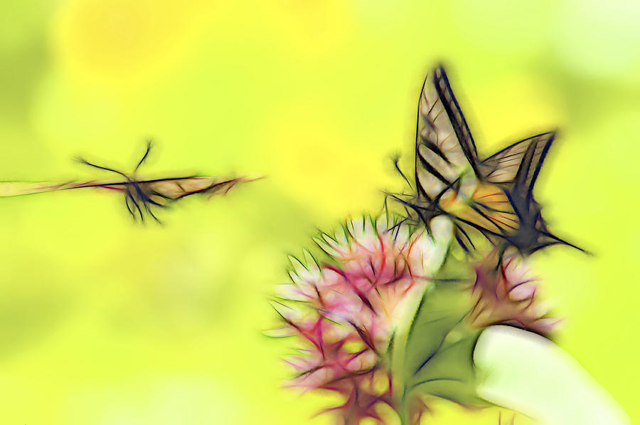 Summer Butterflies Digital Art by William Horden
