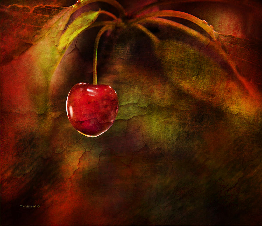 Summer Cherries 1 Photograph by Theresa Tahara