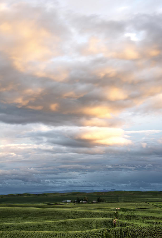 Summer Clouds Photograph by Doug Davidson