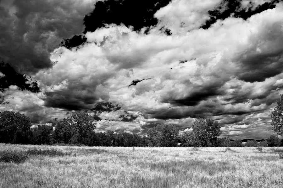 Summer Clouds In Colorado BW Mixed Media by Angelina Tamez