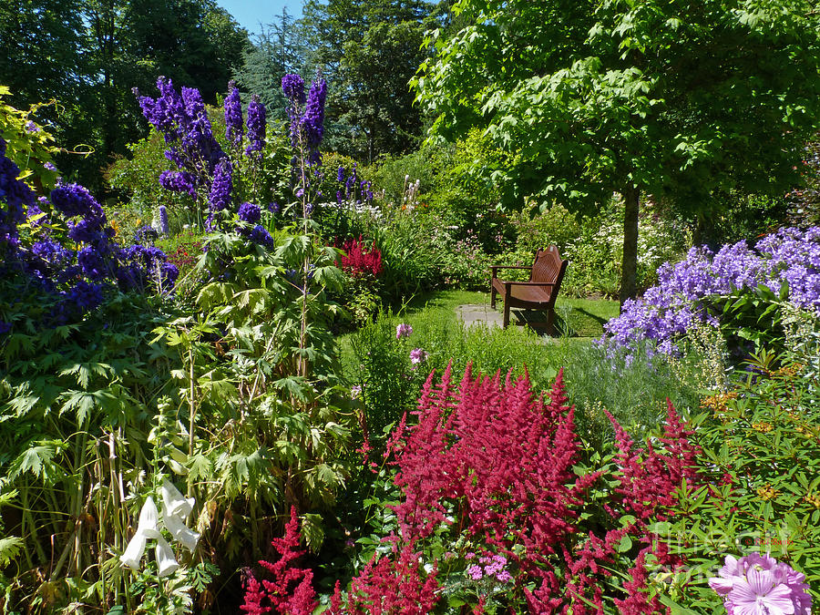 Summer Colour - Biblical Garden - Elgin - Scotland Photograph by Phil Banks