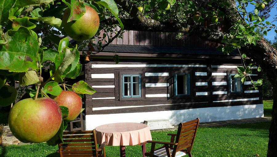 Summer Photograph - Summer Cottage House with the Apple Tree Czech Moravian Highland by Walter Novak