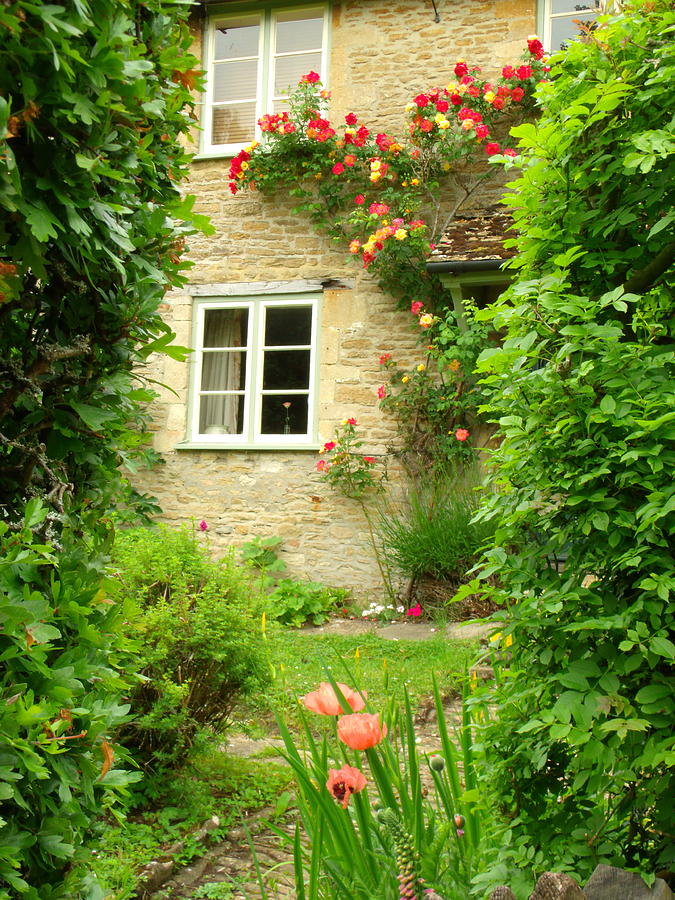 Rose Photograph - Summer Cottage by Jessica Myscofski