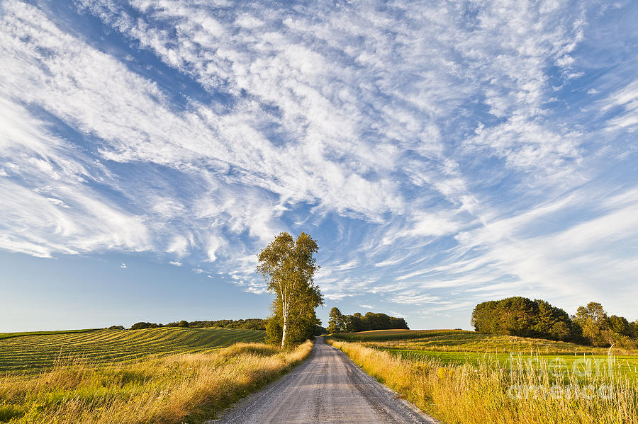 Summer Photograph - Summer Country Road by Alan L Graham