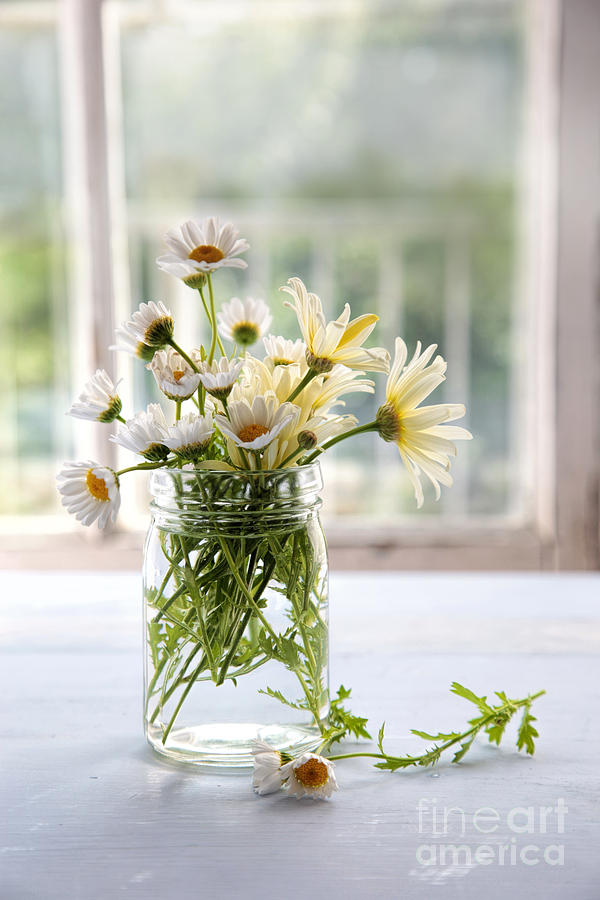 Flower Photograph - Summer daisies in glass jar by Sandra Cunningham