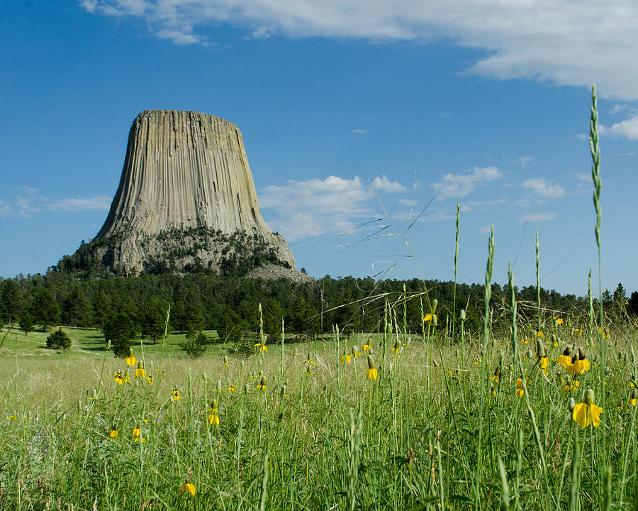 Summer Day at Devils Tower Photograph by Greni Graph