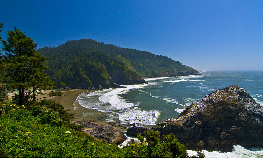 Summer Day on the Oregon Coast Photograph by Larry Goss