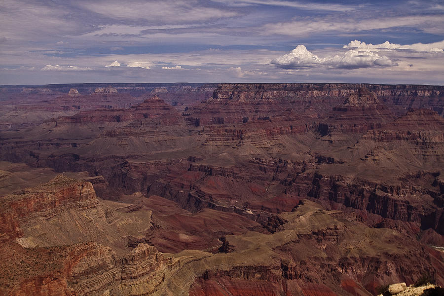 Grand Canyon National Park Photograph - Summer Days by Tom Kelly