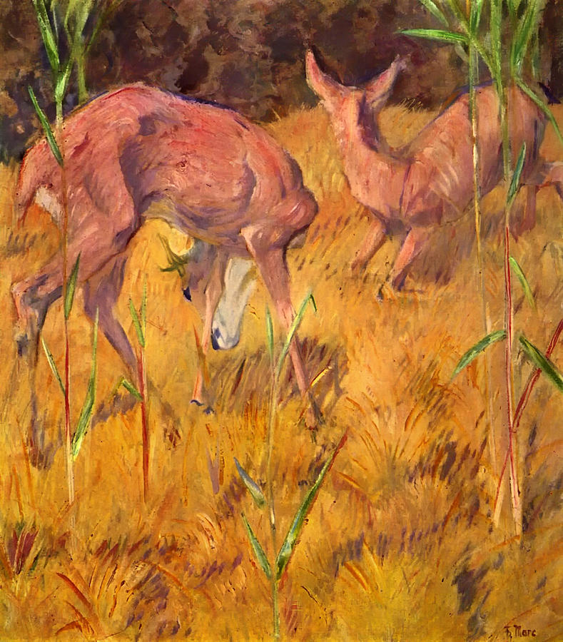 Deer Painting - Summer Deer by Mountain Dreams