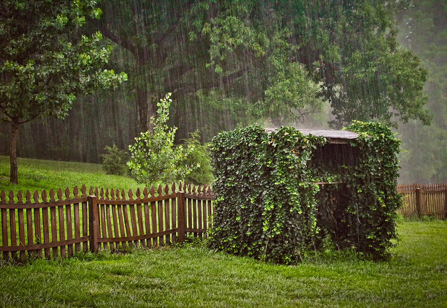 Summer Downpour Photograph by Greg Jackson