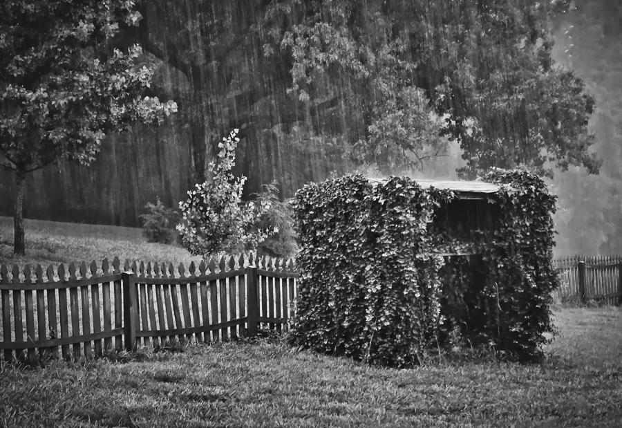Summer Downpour in b/w Photograph by Greg Jackson