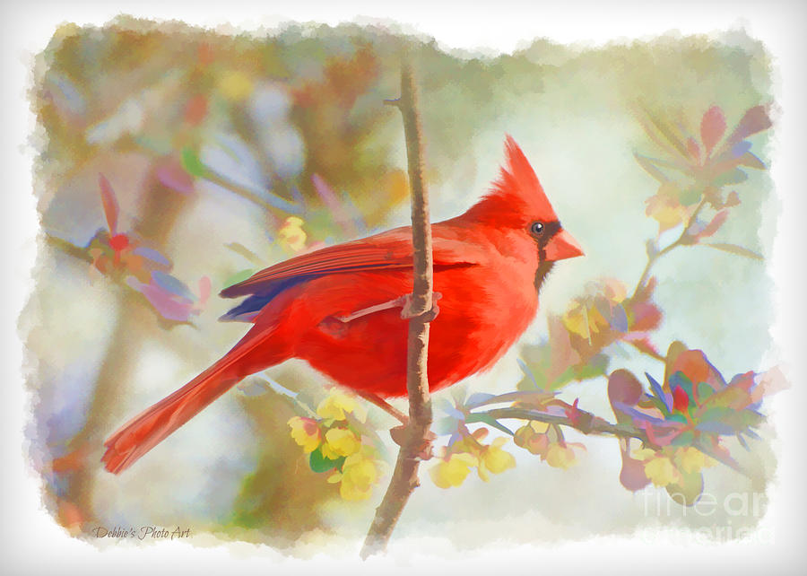 Summer Dreams Cardinal - Digital Paint II Photograph by Debbie Portwood