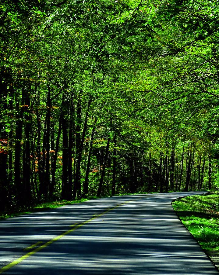 Summer Drive Photograph by Dan Sproul