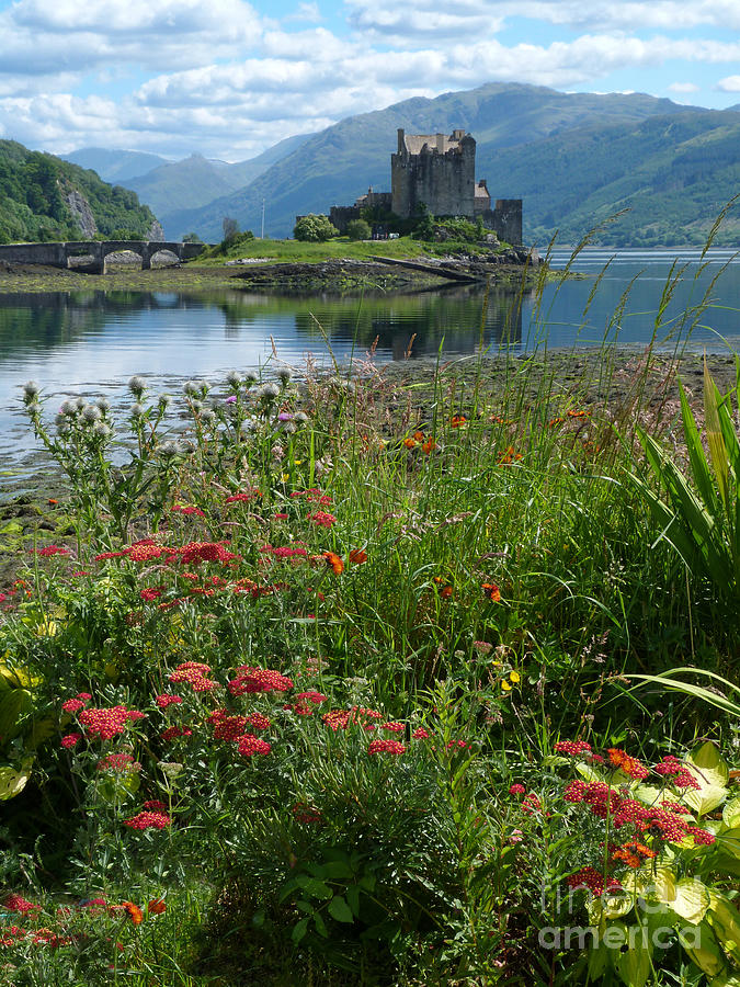Eilean Donan Castle in summer Photograph by Phil Banks
