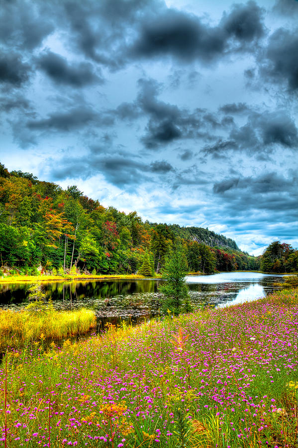 Summer Ending on Bald Mountain Pond Photograph by David Patterson